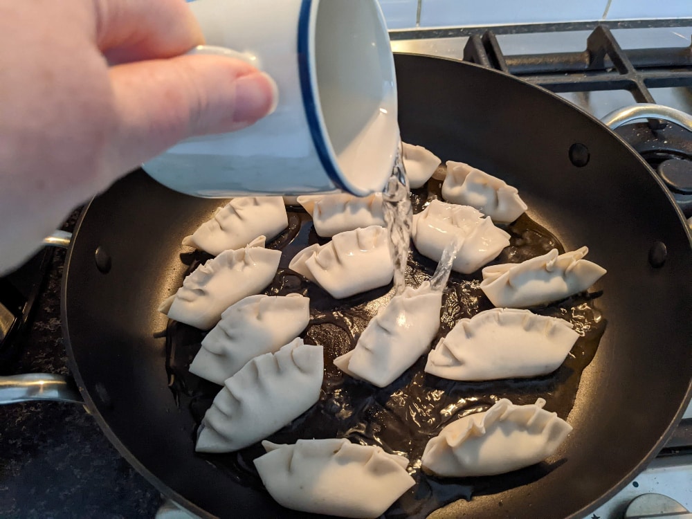 crispy gyoza dumplings