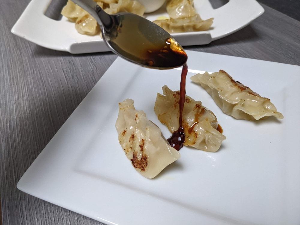 gyoza chicken dumplings