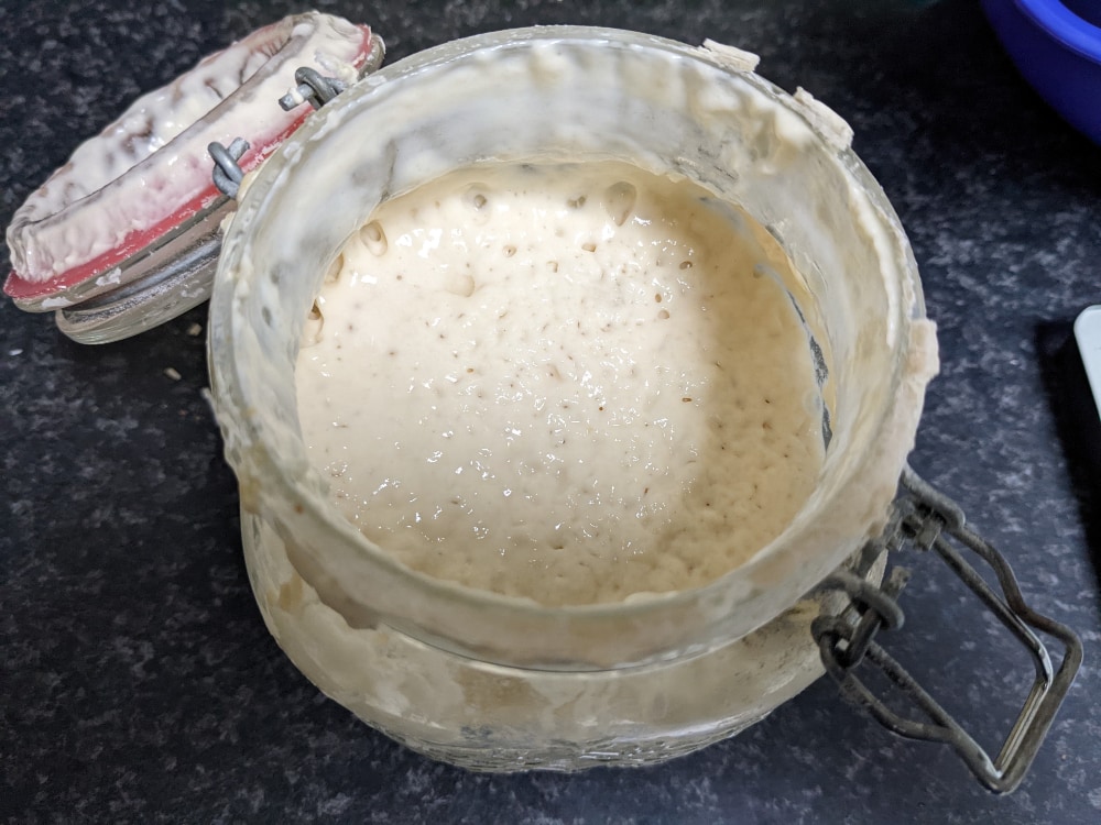 pizza dough starter