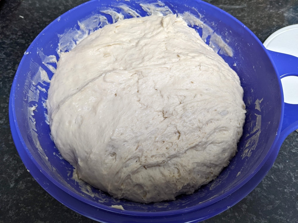 sourdough pizza dough